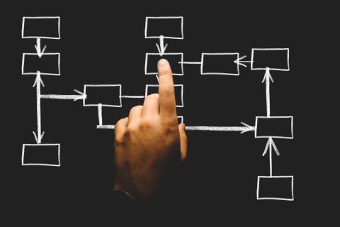 organization-2478211