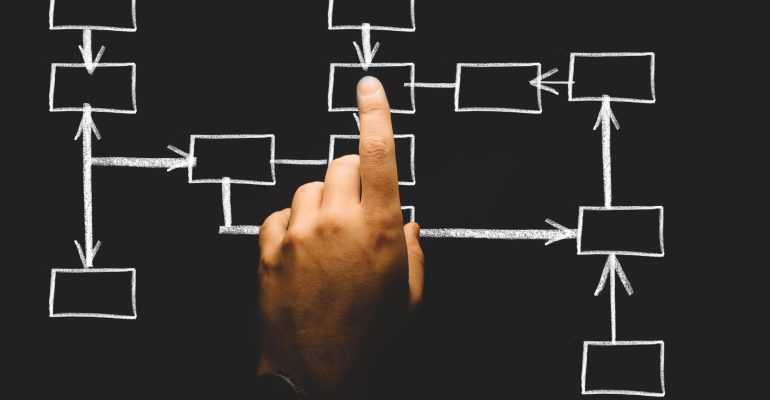 organization-2478211